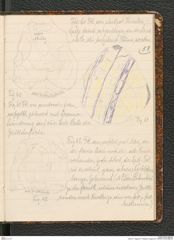 Seite 57, Tagebuch "Palästina (Tagebuch)" (NHMW-PRAE-BBB-80)